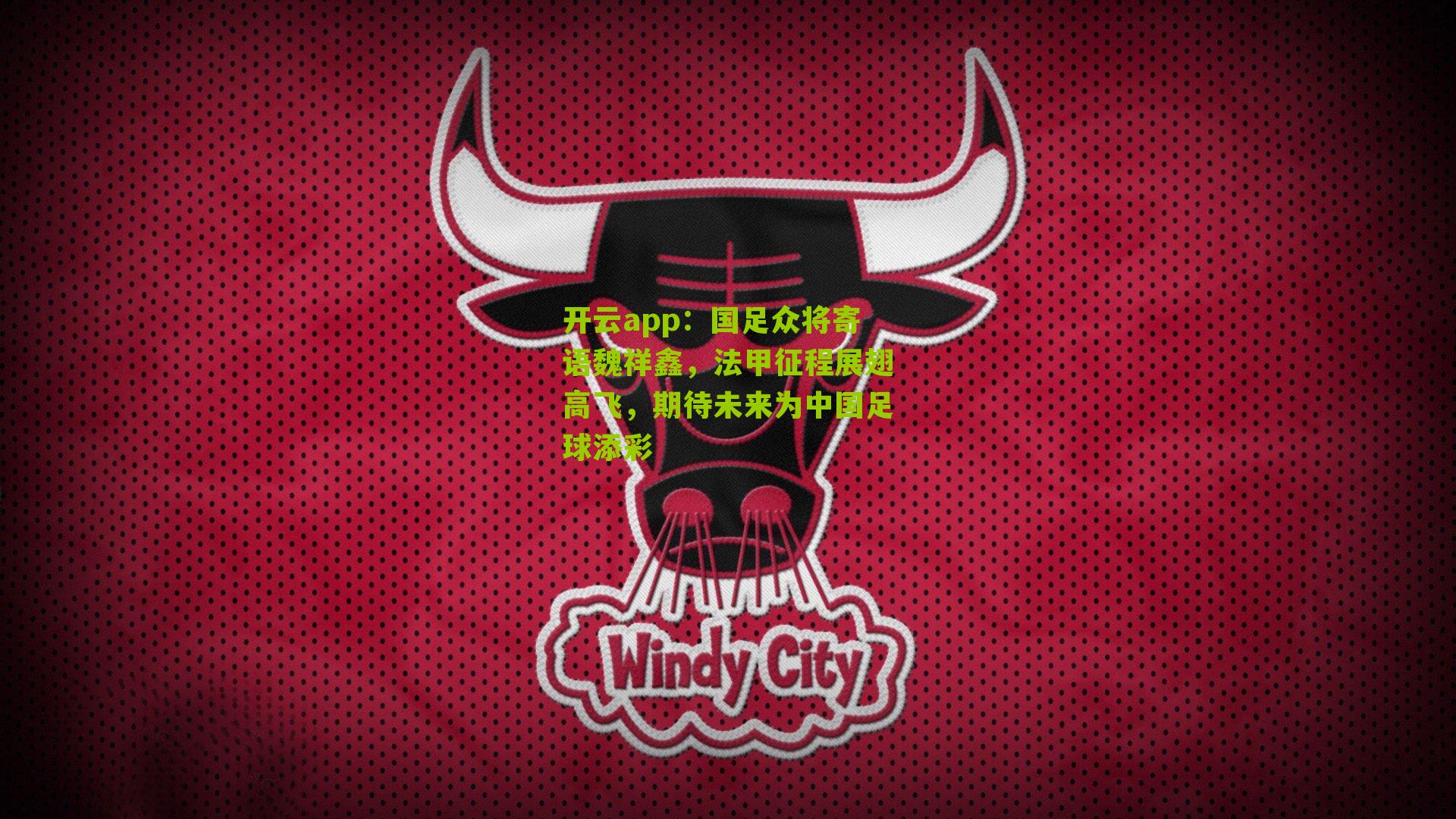 国足众将寄语魏祥鑫，法甲征程展翅高飞，期待未来为中国足球添彩